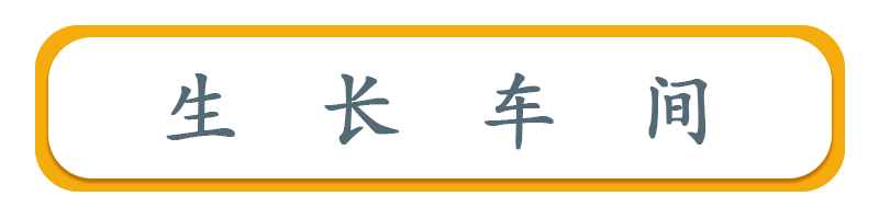 生长车间